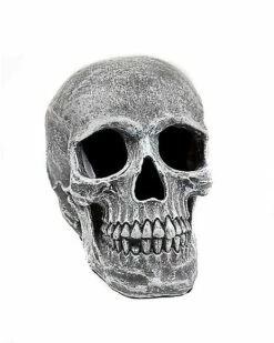 Large Realistic Skull Prop