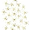Glow In The Dark Spiders - 24 Pack
