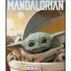 Child Arrived Fleece Blanket - The Mandalorian