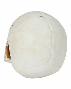 Jawless Skull -Spook & Style Shop 01475961 c