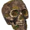 Moss Skull