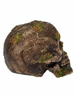 Moss Skull -Spook & Style Shop 01477157 b