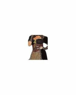 Adult Steampunk Lady Costume -Spook & Style Shop 01482488 e