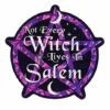 Not Every Witch Lives In Salem Magnet