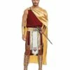 Adult Apollo Costume