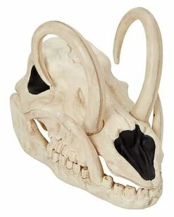 Boar Skull -Spook & Style Shop 01528785 a