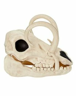 Boar Skull -Spook & Style Shop 01528785 b