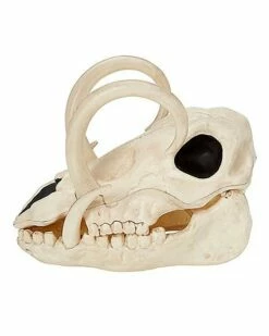 Boar Skull -Spook & Style Shop 01528785 d
