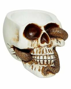 Snake Skull Box -Spook & Style Shop 01530286 b