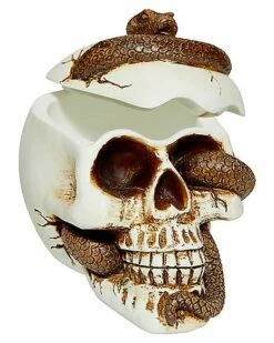 Snake Skull Box -Spook & Style Shop 01530286 c