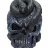 Mystical Arts Snake Skull