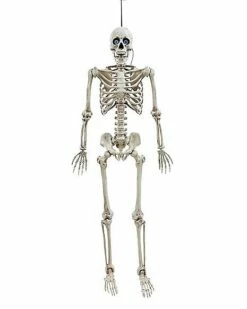 Featured Products 9 5 Ft. Digieye Hanging Skeleton Decoration