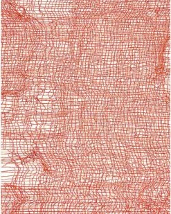 Orange Freaky Fabric -Spook & Style Shop 01564285 c