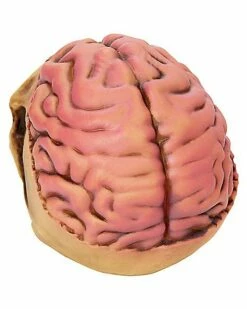 Skull With Brain Decoration -Spook & Style Shop 01573070 c