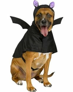 Bat Pet Costume
