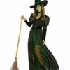 Adult Wicked Witch Costume - The Wizard Of Oz