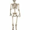 5 Ft Pose 'N' Stay Skeleton