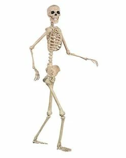 5 Ft Pose 'N' Stay Skeleton -Spook & Style Shop 07125149 b