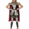 Adult Medieval Warrior Costume