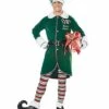 Adult Workshop Elf Costume