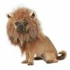 King Of The Jungle Pet Costume