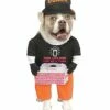 Dunkin' Pet Costume