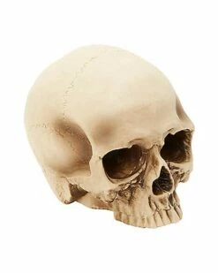 Jawless Skull Set - 3 Pack -Spook & Style Shop 07641780 b