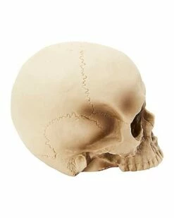 Jawless Skull Set - 3 Pack -Spook & Style Shop 07641780 c
